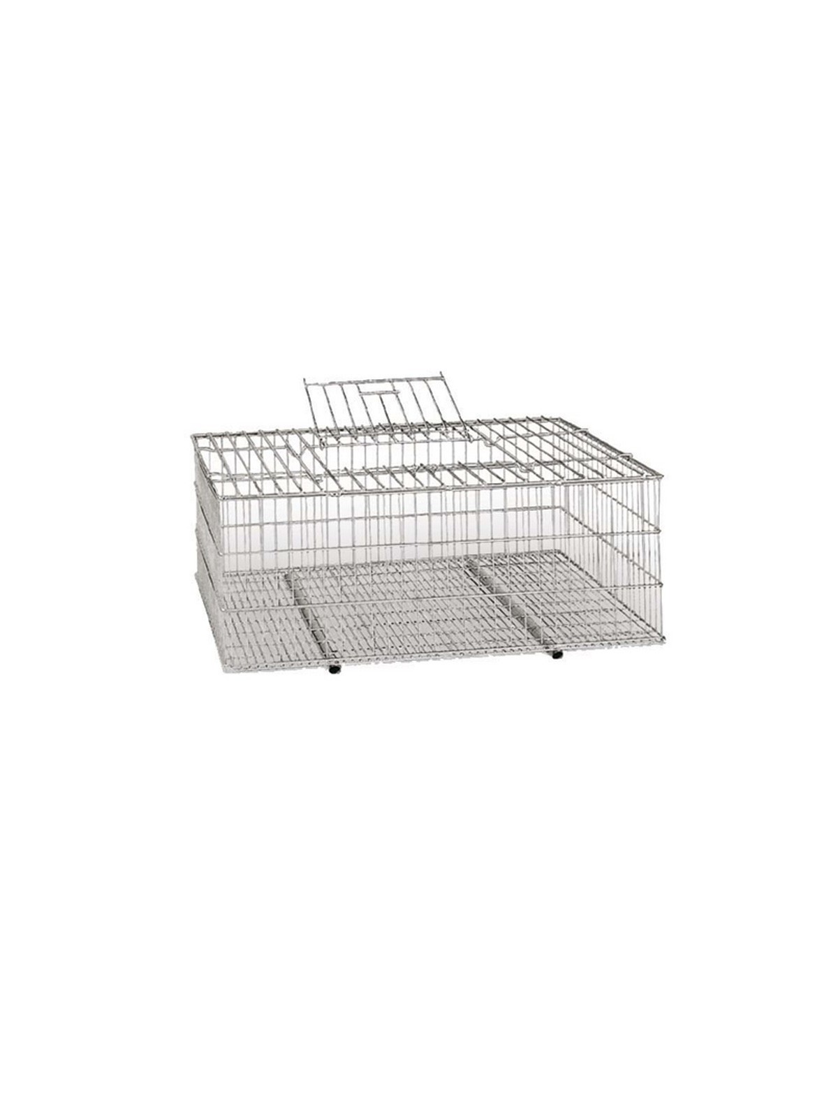 Jaula Transporte para Aves