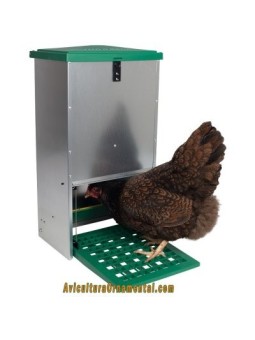 Feedomatic comedero automático para gallinas, pollos y aves de corral