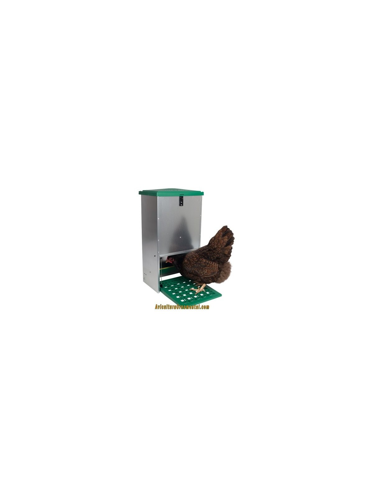 Feedomatic comedero automático para gallinas, pollos y aves de corral