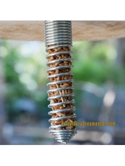Comedero espiral de campo pequeño