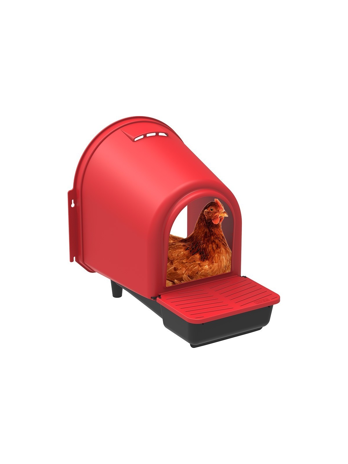 Ponedero para gallinas Confort