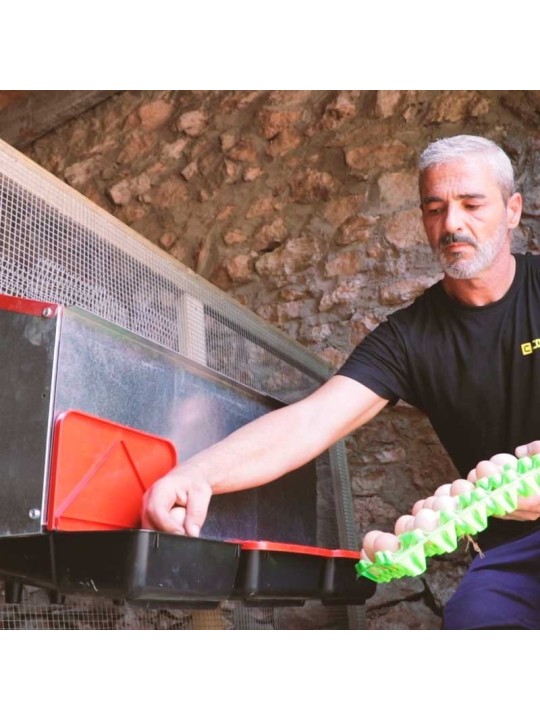 Ponedero para gallinas exterior Platinum