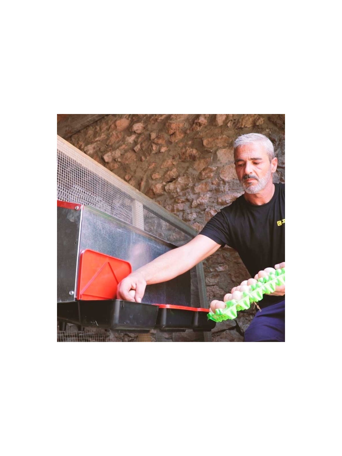 Ponedero para gallinas exterior Platinum