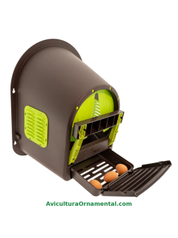 Ponedero EcoNest para Gallinas con Recogida de Huevos