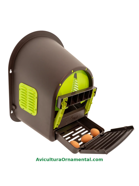 Ponedero EcoNest para Gallinas con Recogida de Huevos