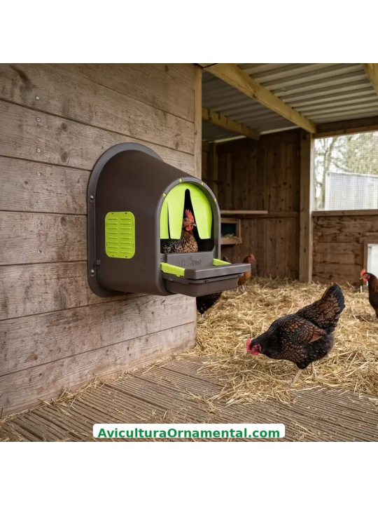 Ponedero EcoNest para Gallinas con Recogida de Huevos