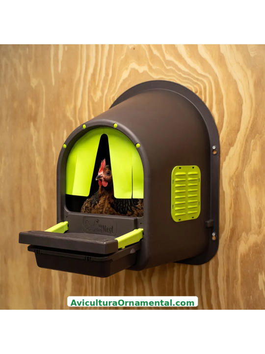 Ponedero EcoNest para Gallinas con Recogida de Huevos