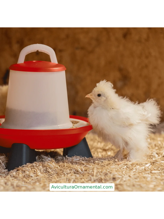 Comedero Gallinas con Patas y 2 Niveles