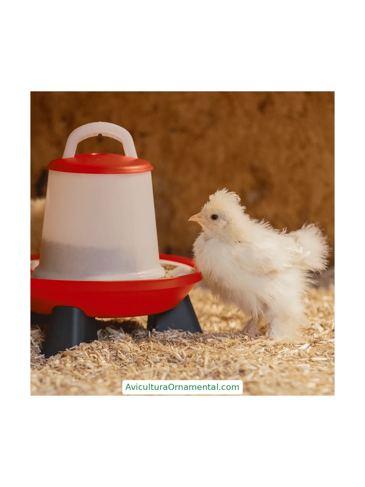 Comedero Gallinas con Patas y 2 Niveles