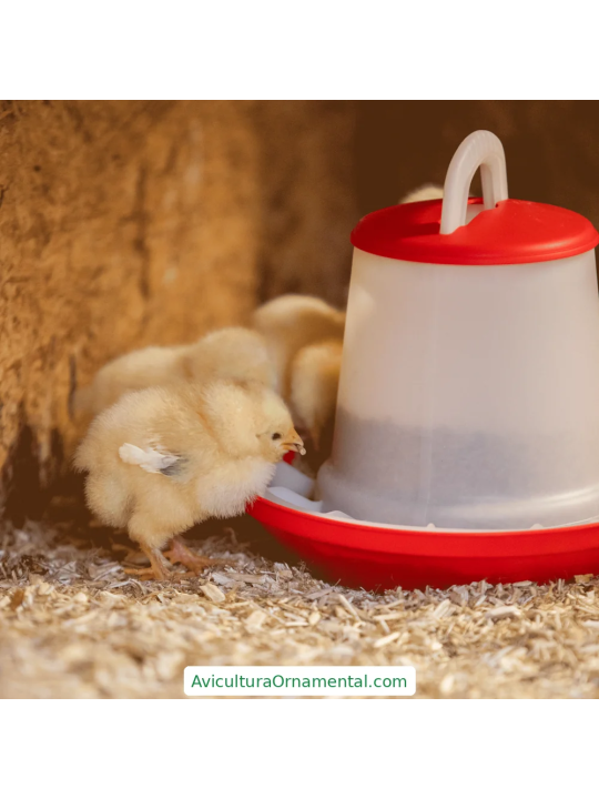 Comedero para Gallinas sin Patas y Dos Niveles