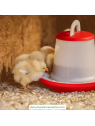 Comedero para Gallinas sin Patas y Dos Niveles