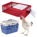 Jaulas transporte pollos